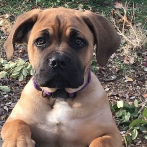 Meet your Posher, Cj